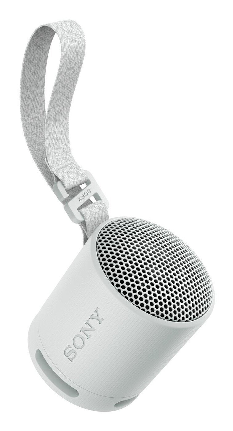 Sony SRS-XB100 Altavoz monofónico portátil Gris