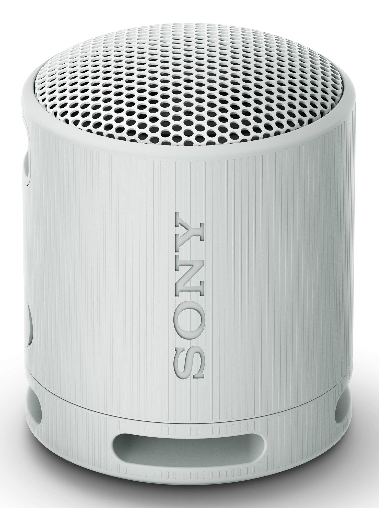 Sony SRS-XB100 Altavoz monofónico portátil Gris